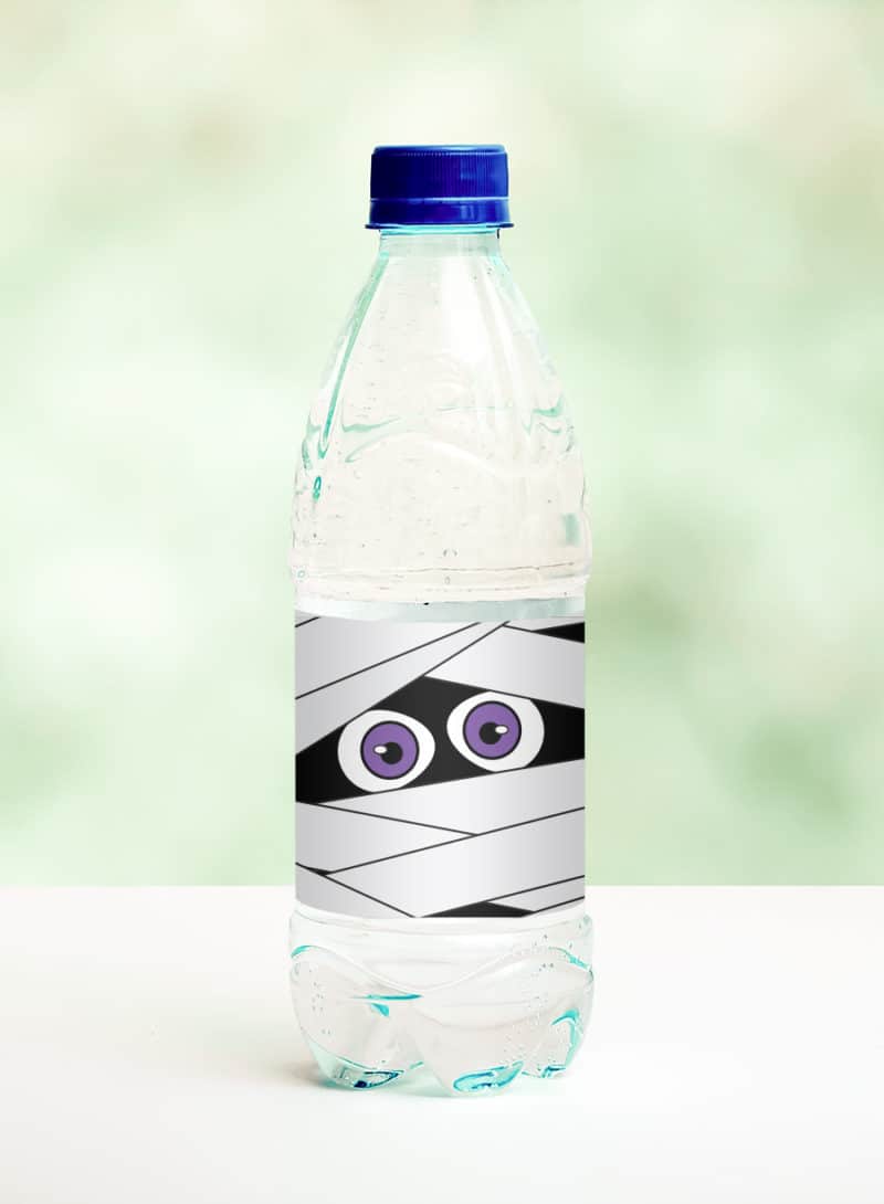 https://pjsandpaint.com/wp-content/uploads/2019/09/mummy-water-bottle-mockup.jpg