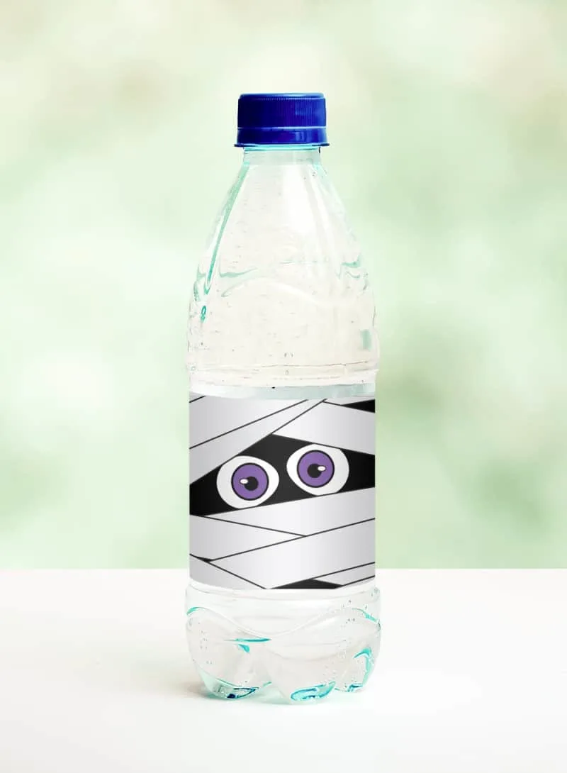 Empty Water Bottle, bring for pompoms  Bottle, Water bottle, Water bottle  label design