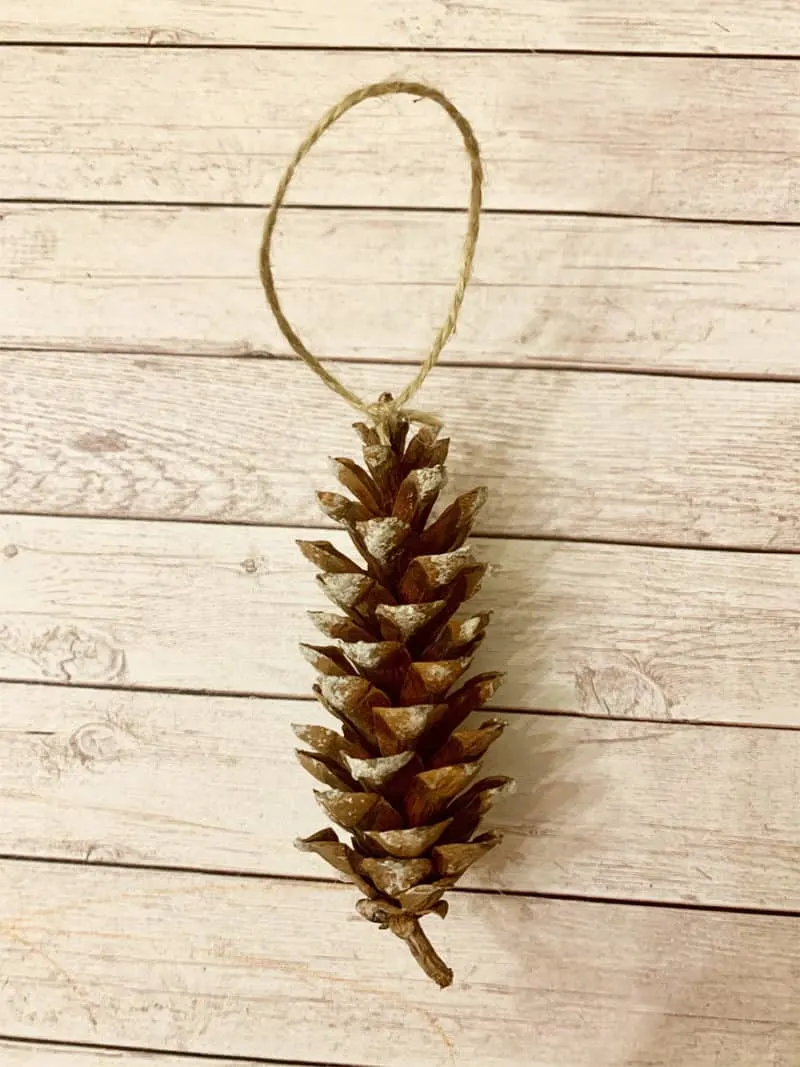 pinecone with twine