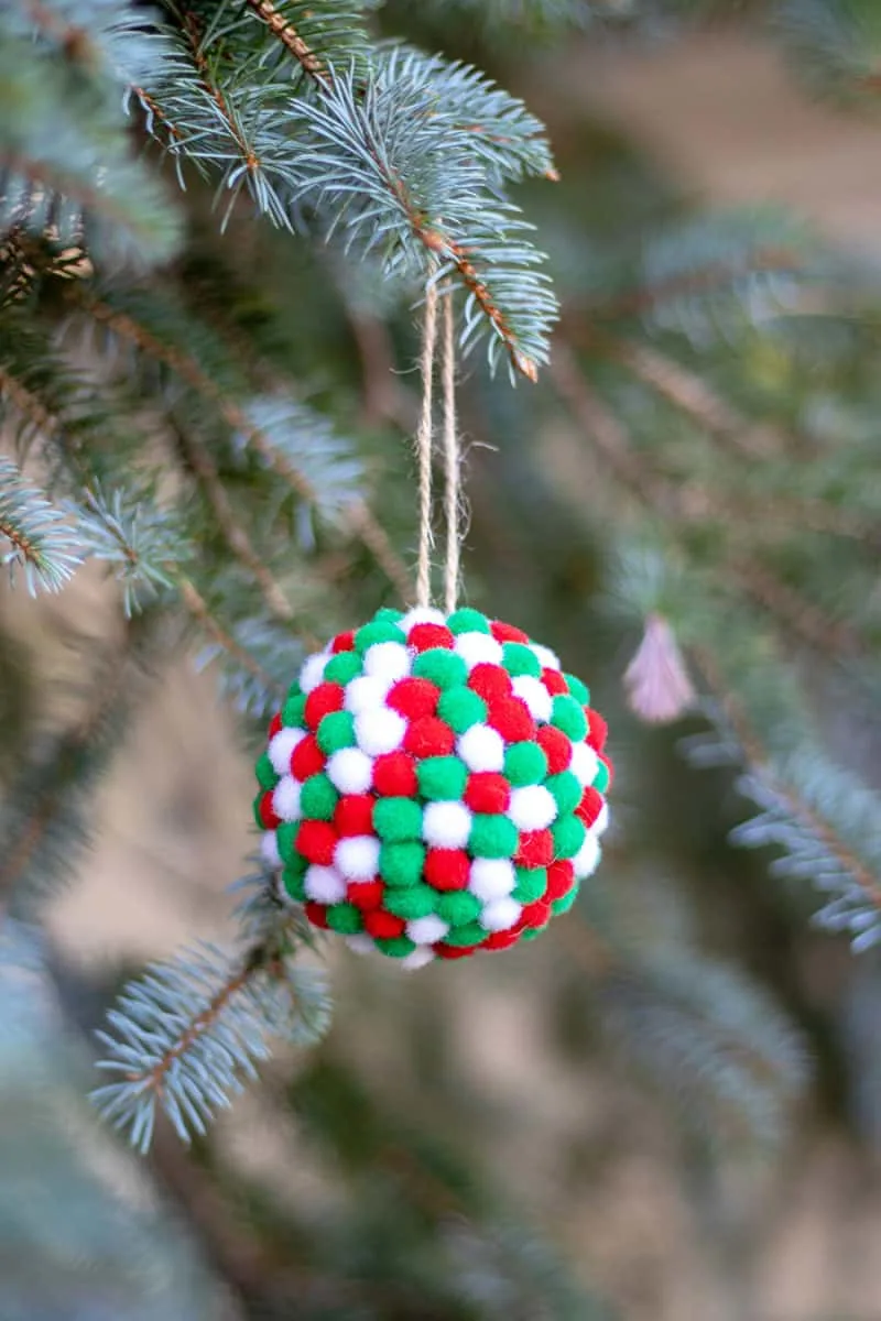 pom pom ball in tree