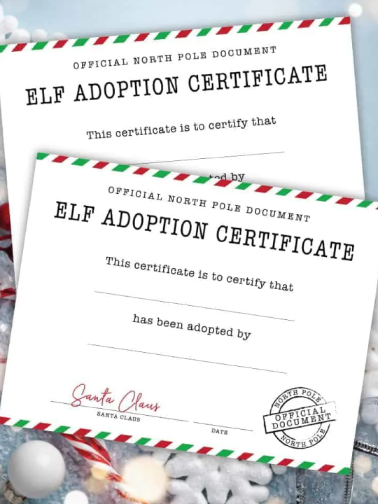 elf adoption thumbnail
