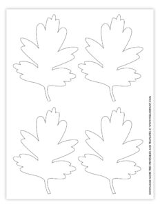 Free Printable Leaf Template - 3 Versions, 2 Sizes Each - Pjs and Paint
