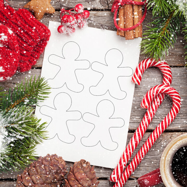 Pattern Templates - Pjs and Paint