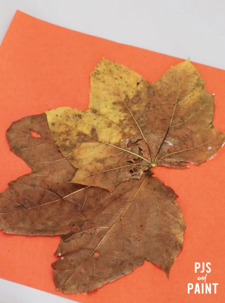 leaves on construction paper