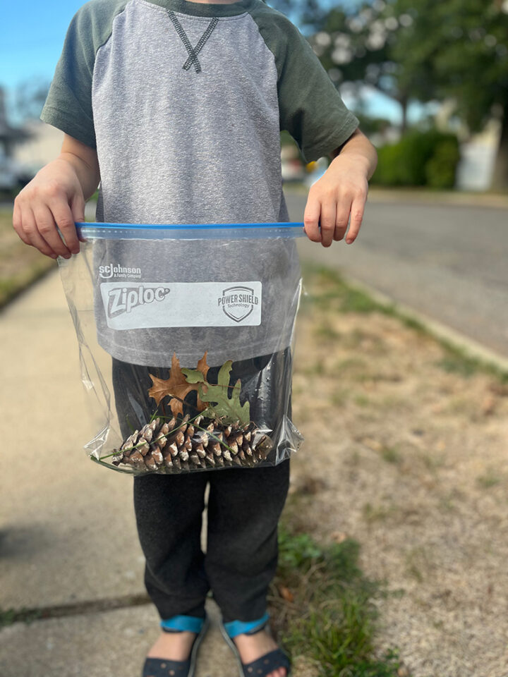 Outdoor Fall Scavenger Hunt - Free Printable - Pjs and Paint