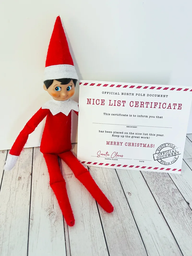 elf nice list