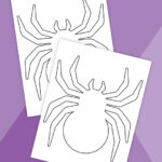 spider template thumbnail