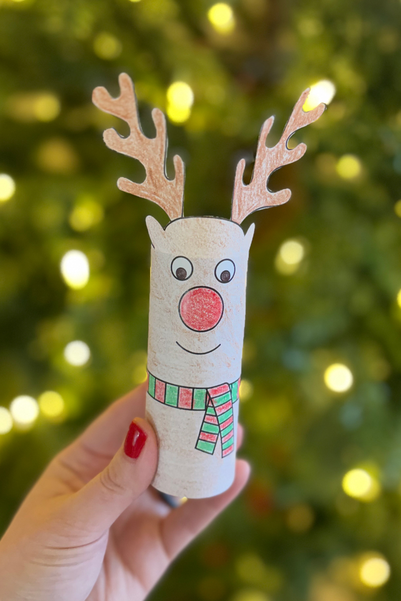 reindeer
